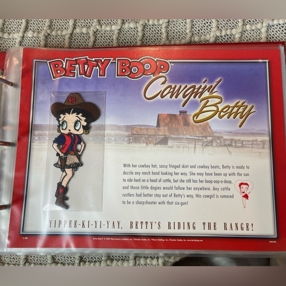 Betty Boop patch collection, binder,  willabee & ward WW, vintage - Picture 4 of 16